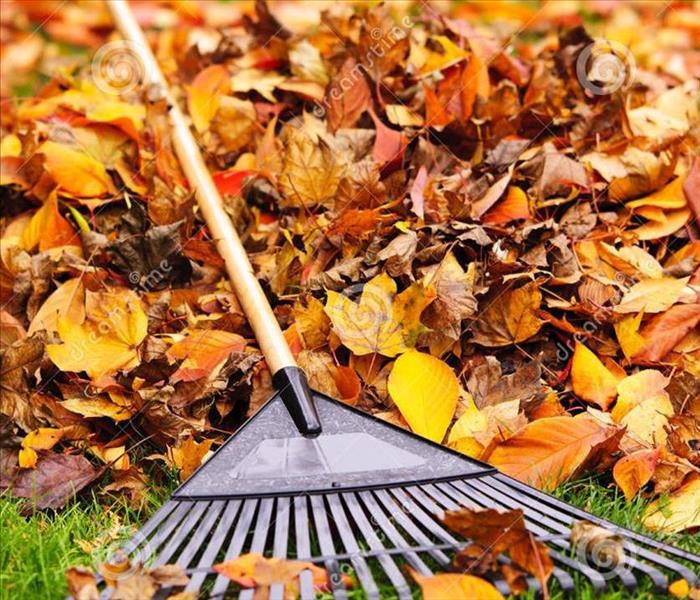 7 Tips for Raking Leaves Like a Pro | SERVPRO of Northern Lorain County